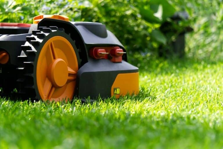 15 wichtige Tipps zur Rasenpflege mit Mährobotern